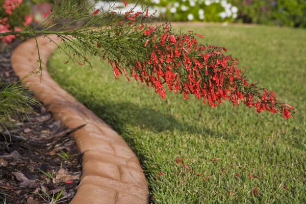 Brick Edging in Lake Mary