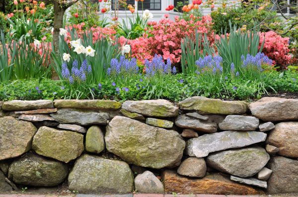 Stone Wall Hardscaping in Lake Mary