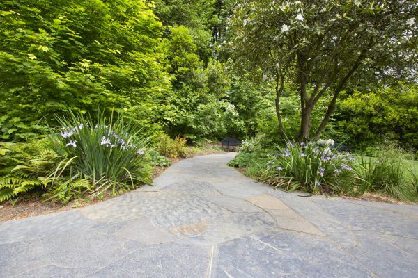 Stone Hardscape Service in Lake Mary